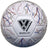 Vizari Zodiac Soccer Ball-1