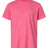 Next Level Apparel Youth   CVC Tee NL3312-1