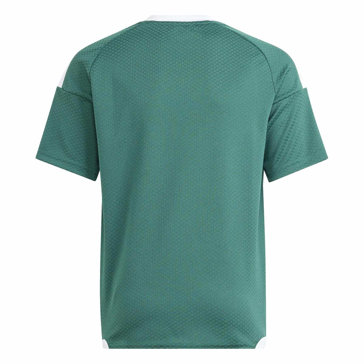 372891021.jpg