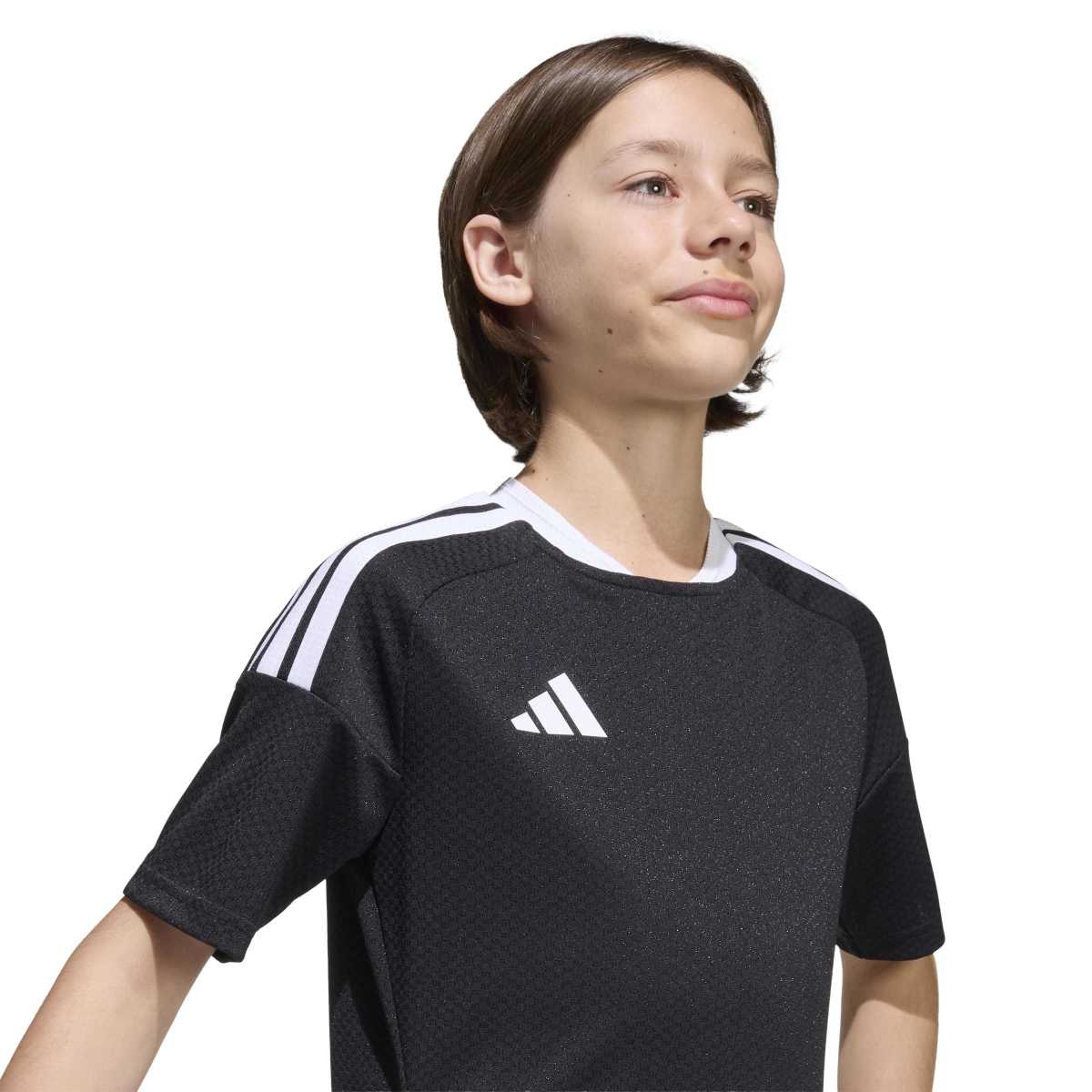 372891061.jpg