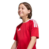 372891115.jpg