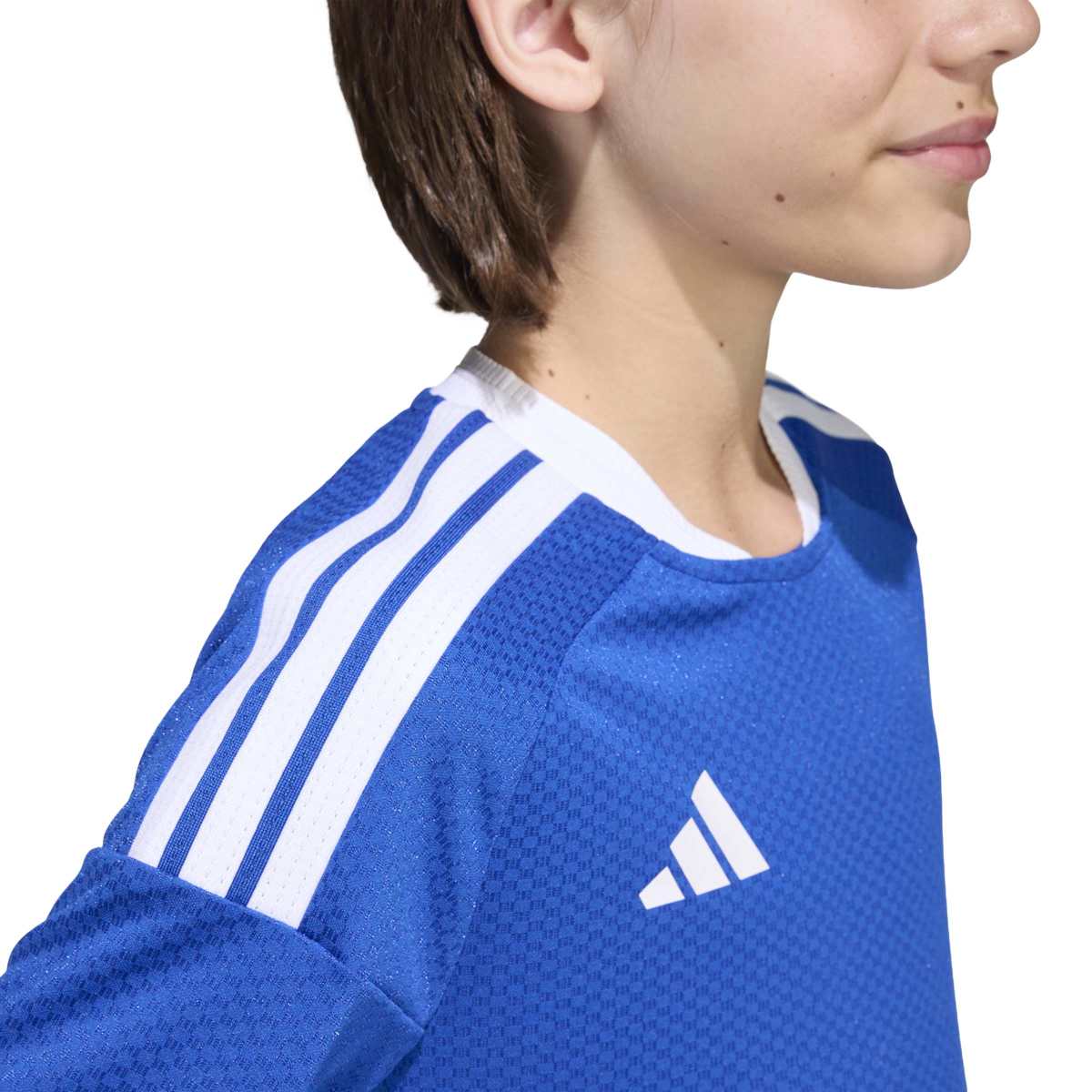 372891175.jpg