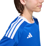 372891175.jpg