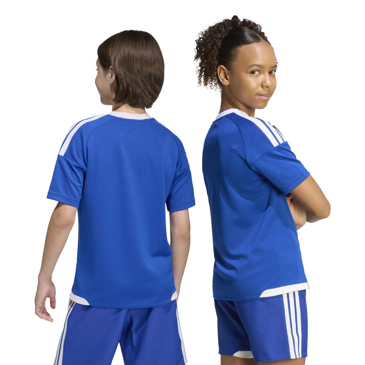 372891177.jpg