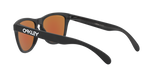 Oakley Frogskins Glasses-12