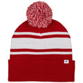 Champro Playoff Beanie with Pom