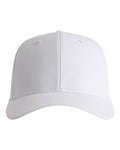 Imperial The Ironclad Recycled Perforated Cap-1