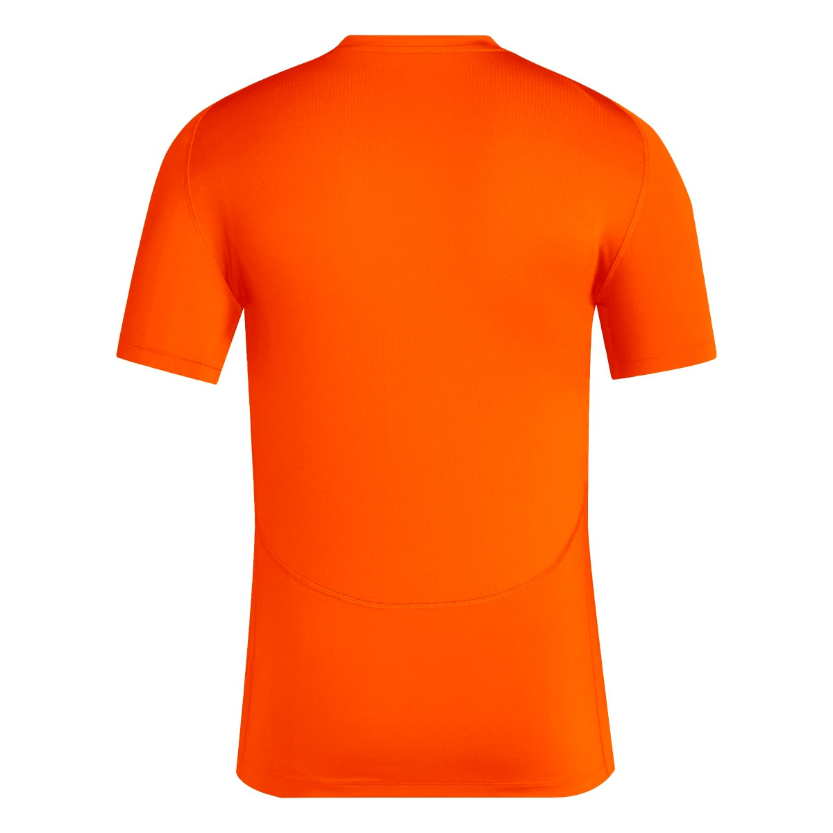 374787456.jpg