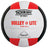 Tachikara Lightweight Sensi-Tec Microfiber Composite Training "VOLLEY-LITE" Volleyball