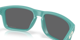 Oakley Holbrook A Glasses-7