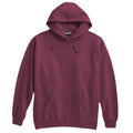 Pennant Sportswear Men's Super-10 Hoodie