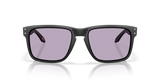Oakley Holbrook XL Glasses-8