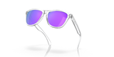 Oakley Frogskins Glasses-9