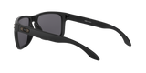 Oakley Holbrook XL Glasses-12