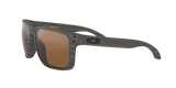 Oakley Holbrook XL Glasses-6