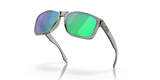 Oakley Holbrook XL Glasses-9