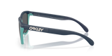 Oakley Frogskins Range A Glasses-3