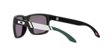 Oakley Holbrook NFL Glasses-11