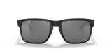 Oakley Holbrook NFL Glasses-10