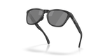Oakley Frogskins Range XL Glasses-5