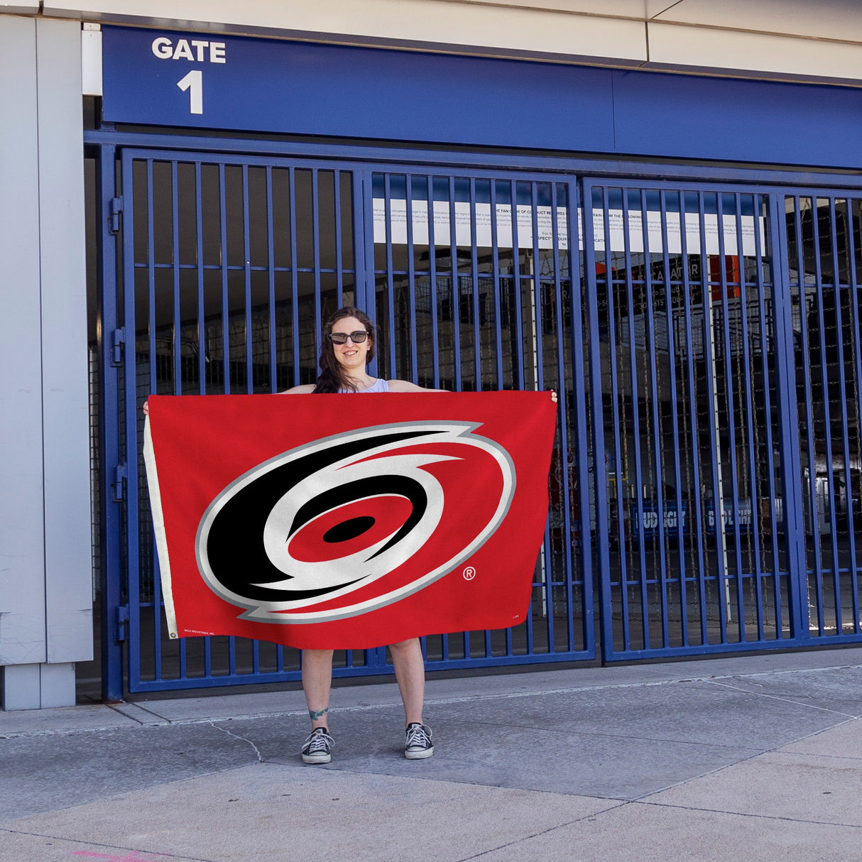 Rico Industries NHL  Carolina Hurricanes Standard 3' x 5' Banner Flag-4