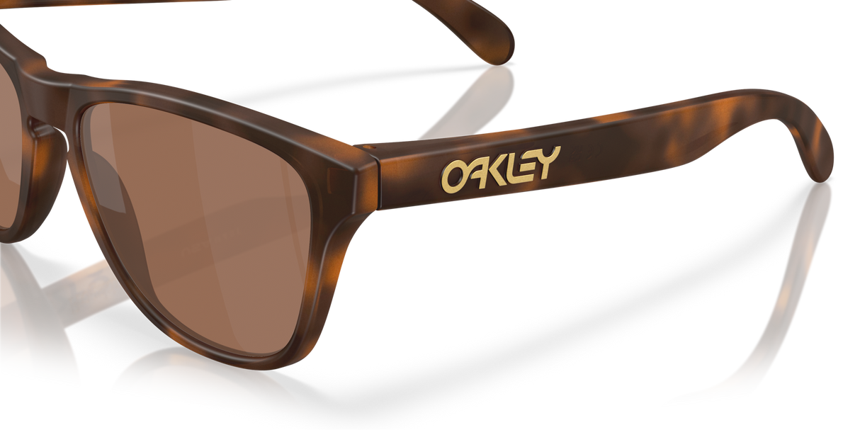 Oakley Frogskins S Glasses-6