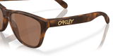 Oakley Frogskins S Glasses-6