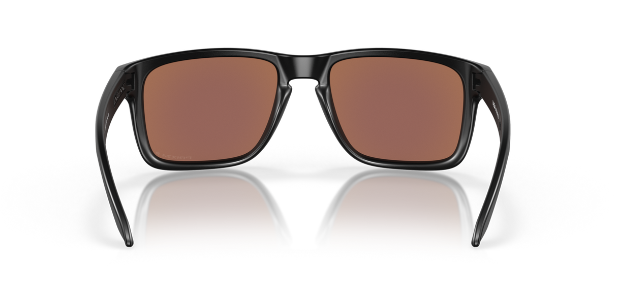 Oakley Holbrook XL Glasses-6