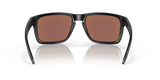 Oakley Holbrook XL Glasses-6
