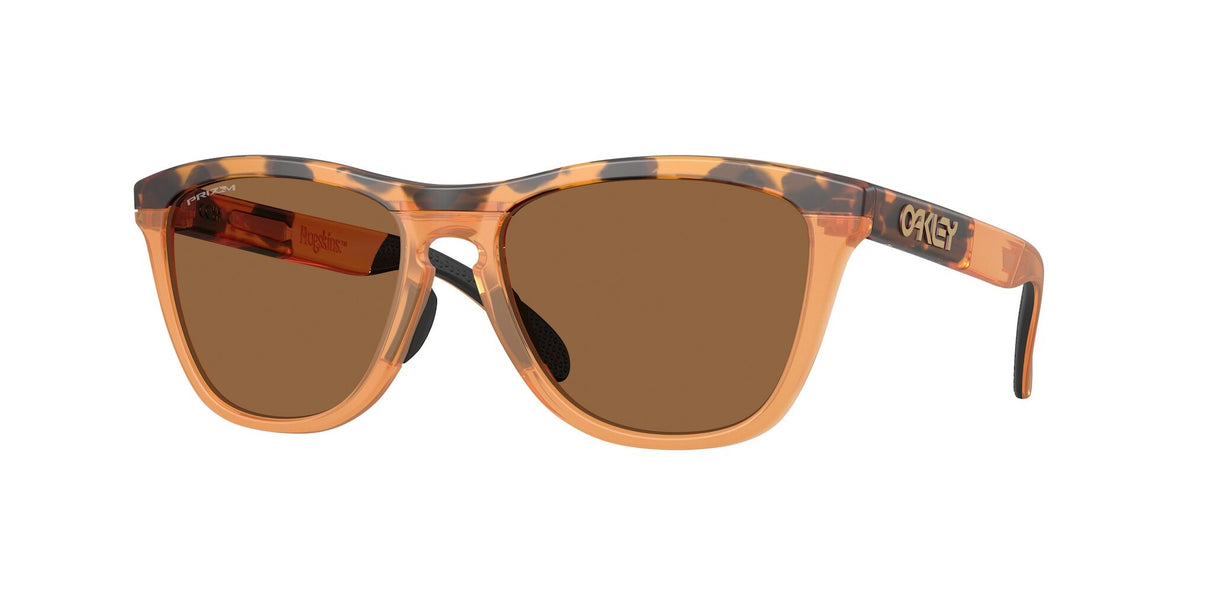Oakley Frogskins Range XL A Glasses-1