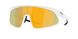 Oakley RSLV Sunglasses-1