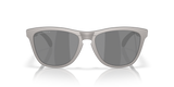 Oakley Frogskins Range Glasses-8