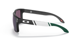 Oakley Holbrook NFL Glasses-4
