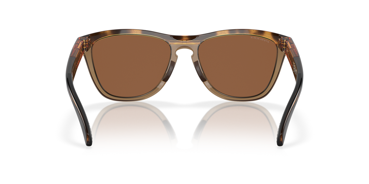 Oakley Frogskins Range A Glasses-4
