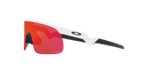 Oakley Resistor Sunglasses-7