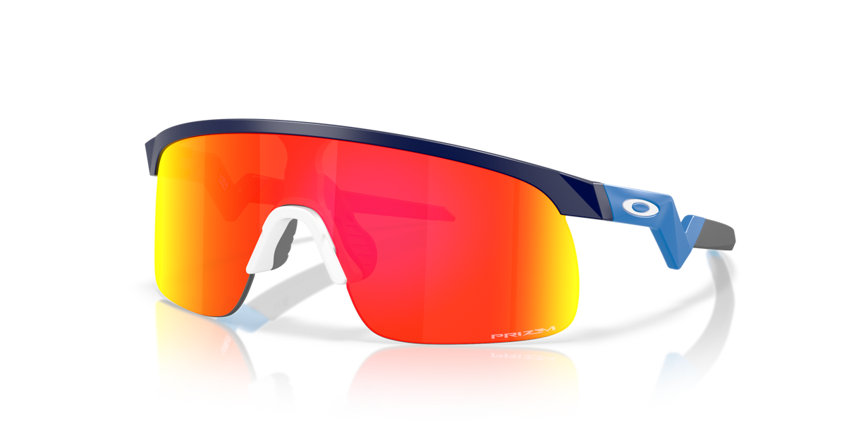 Oakley Resistor Sunglasses-2