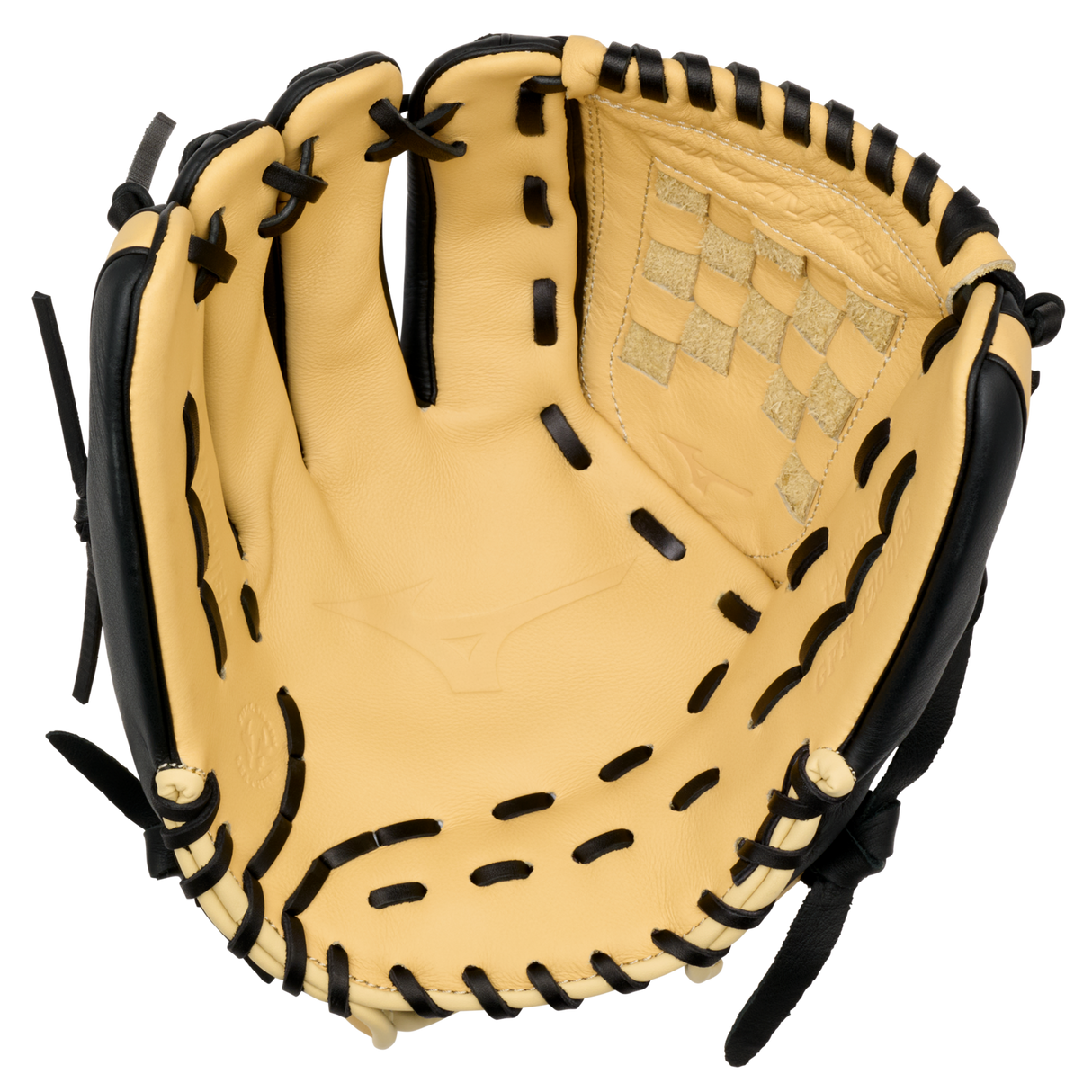 Mizuno GFN1200B5 Franchise BB 12" Pitcher Baseball Glove-2