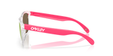 Oakley Frogskins A Glasses-3