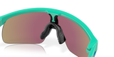 Oakley Resistor Sunglasses-7