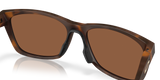 Oakley Paracord Glasses-7