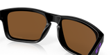 Oakley Holbrook Glasses-11