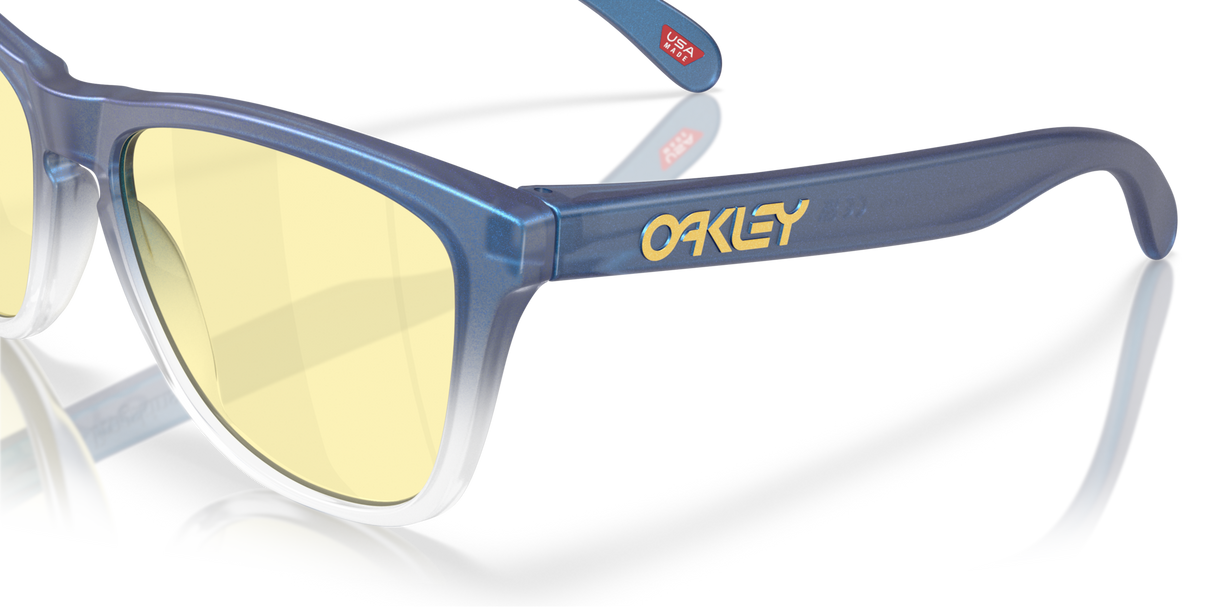 Oakley Frogskins Glasses-6