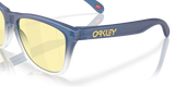 Oakley Frogskins Glasses-6