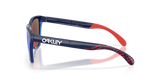 Oakley Frogskins Range Glasses-3