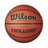 Wilson Adult Evolution Basketball