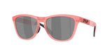 Oakley Frogskins Range A Glasses-1