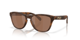 Oakley Frogskins S Glasses-2
