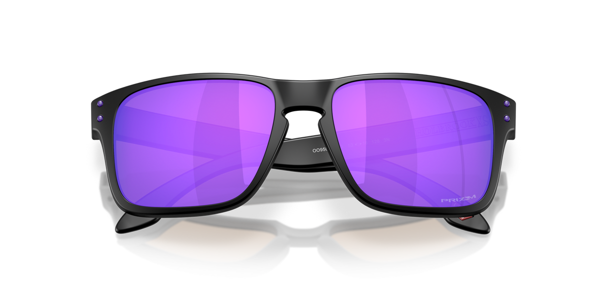 Oakley Holbrook S Glasses-9