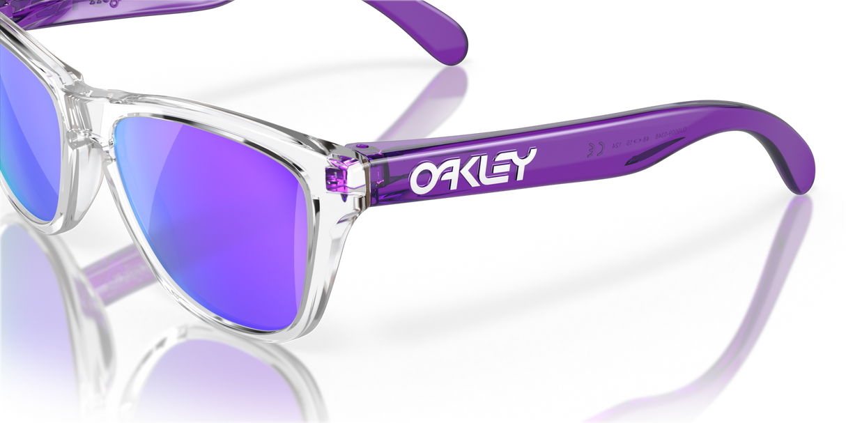 Oakley Frogskins XXS Glasses-9