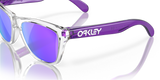 Oakley Frogskins XXS Glasses-9
